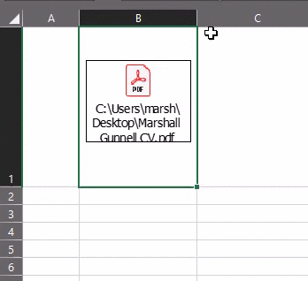 How to Insert a PDF Into Excel