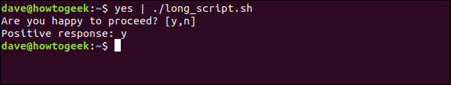 piping yes into long_script.sh in a terminal window