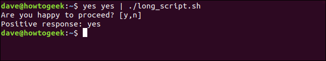 piping yes yes into long_script.sh in a terminal window