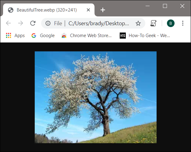 The WebP image opens directly inside of Chrome when clicked