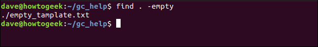 empty file search results in a terminal window