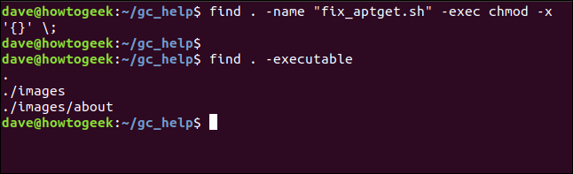 Search results with no executable files ina terminal window