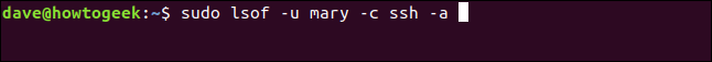 sudo lsof -u mary -c ssh -a in a terminal window