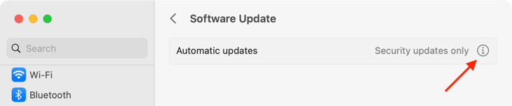Turn on automatic updates on macOS 13