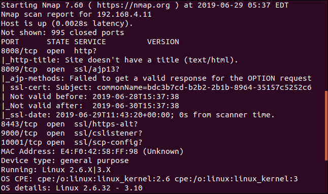 nmap output in a terminal window