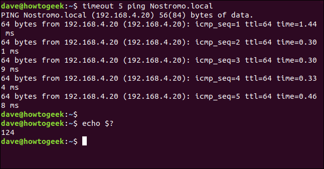output of ping and echo $? in a terminal window