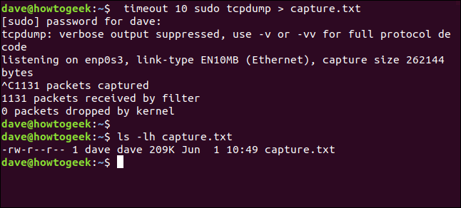 ls -lh capture.txt in a terminal window