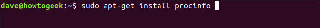 sudo apt-get install lsscsi in a terminal window