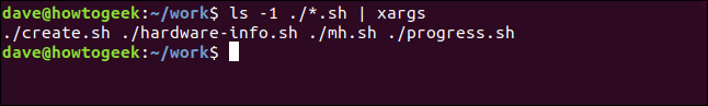 ls piped through xargs in a terminal window