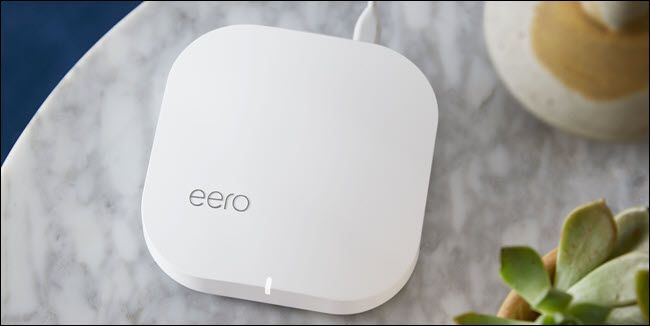 An eero Wi-Fi router sitting on a table next to a plant.