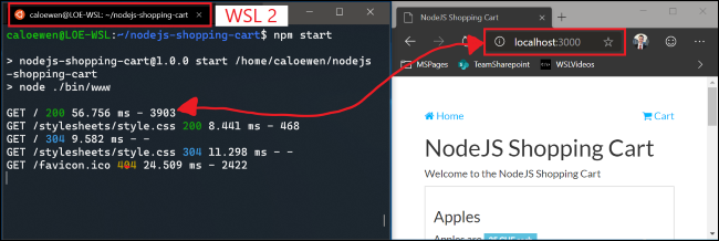 Connecting to WSL via localhost on Windows 10