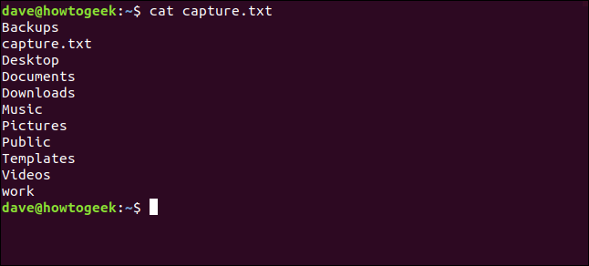 cat capture.txt in a terminal window