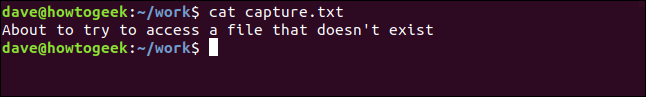 contents of capture.txt in a terminal window