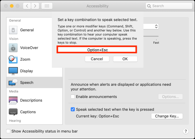 Click the box and press the new key combination to change the keyboard shortcut for Speak Selection feature