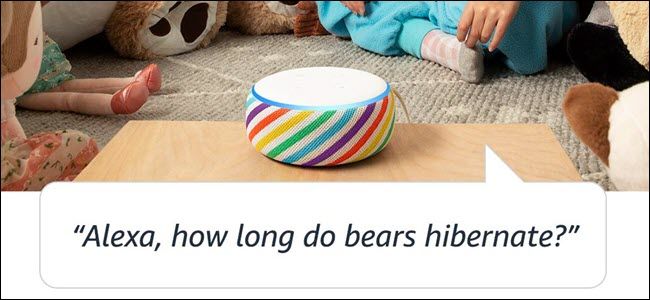 An Echo Kid's Edition in a child's bedroom, with the question &quot;How long do bears hibernate?&quot;
