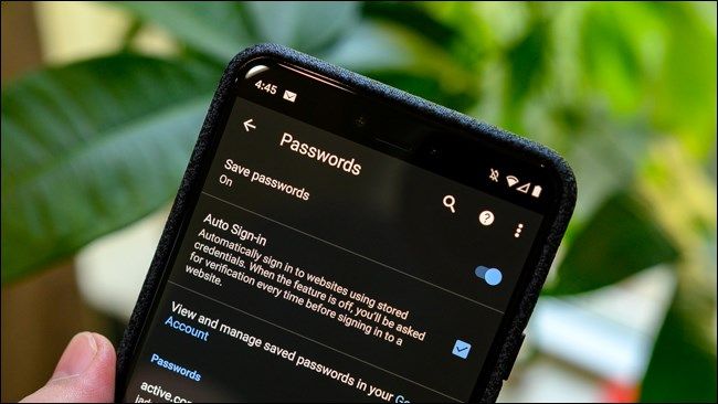 Android Google Chrome Saved Passwords