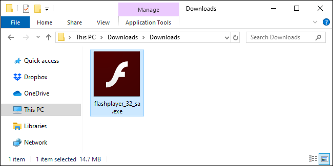 Running the standalone Flash Player EXE file