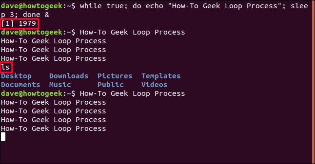 output of the background loop process interspersed with output from other commands