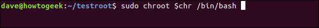 sudo chroot $chr /bin/bash  in a terminal window
