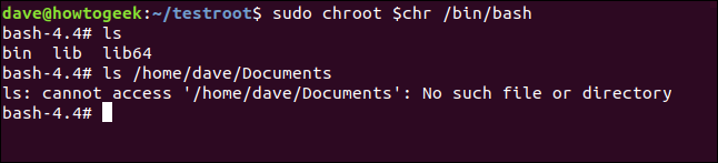 ls and ls /home/dave/Documents in a terminal window