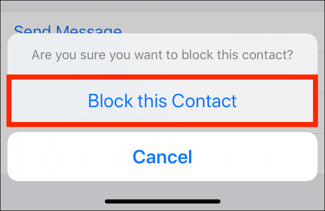 Tap on Block This Contact from the popup