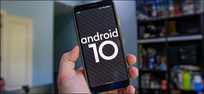 Android 10 Logo
