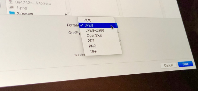 macOS Preview app showing options for converting images between PNG, JPG, TIFF and more