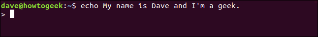 echo My name is Dave and I'm a geek. in a terminal window