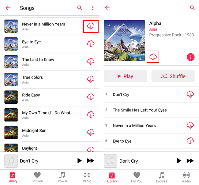 In the Songs tab, or in an Album listing, tap the download icon for offline playback