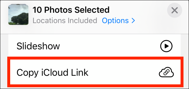 Copy iCloud Link from Share sheet