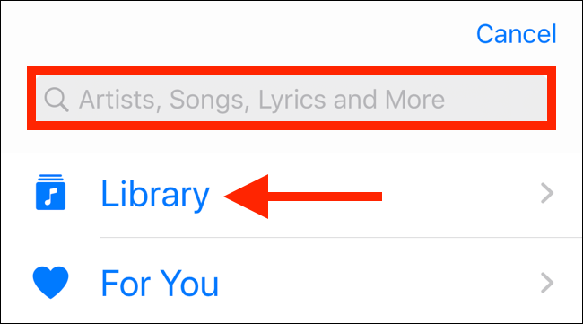 Search for a song or tap on Library to explore your collection