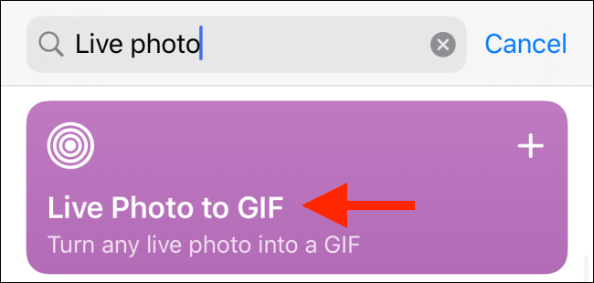 Select Live Photo to GIF shortcut