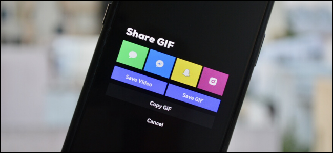 Share GIF from Live Photos menu in GIPHY app on iPhone