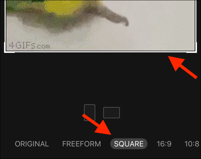 Switch to Square ratio and then crop the Live Photo