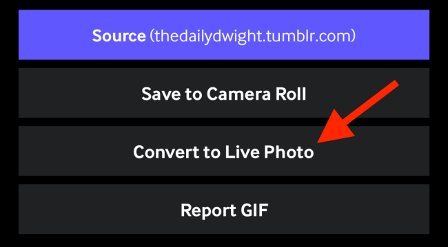 Tap on Convert to Live Photo