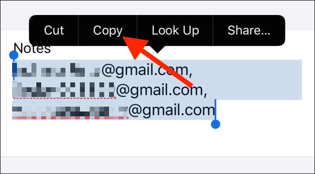 Tap on Copy to copy all email addresses