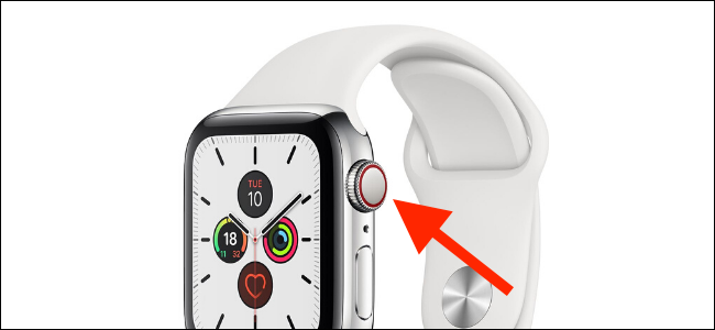 Apple Watch Cellular red dot or ring