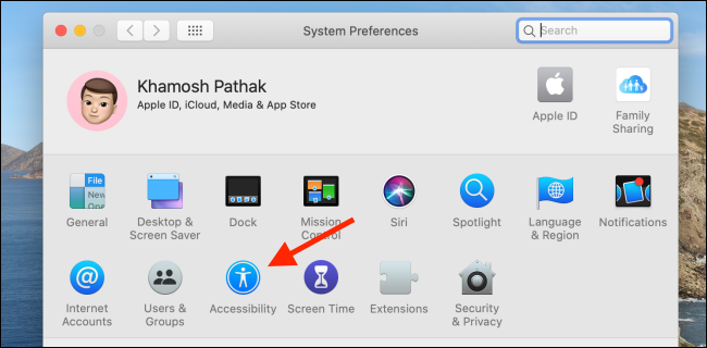 Click on Accessibility button from System Preferences