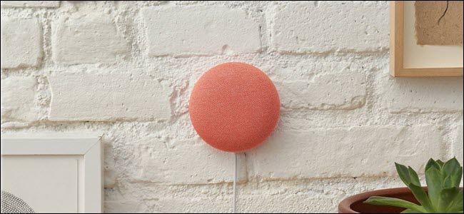 A red Nest Mini hung directly on a wall.