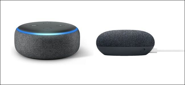 An Amazon Echo and Google Nest Mini