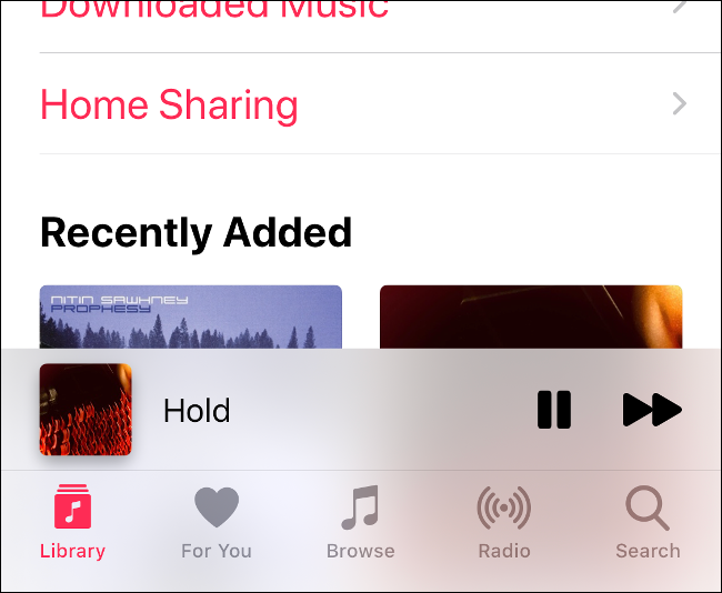 Access Shared Library on iOS 13