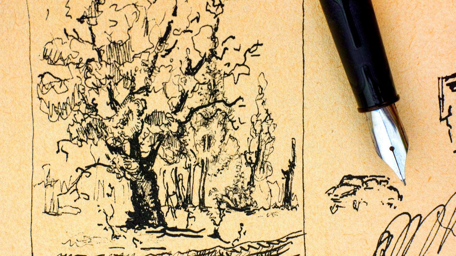 A fountain pen lying on an ink drawing of a tree.