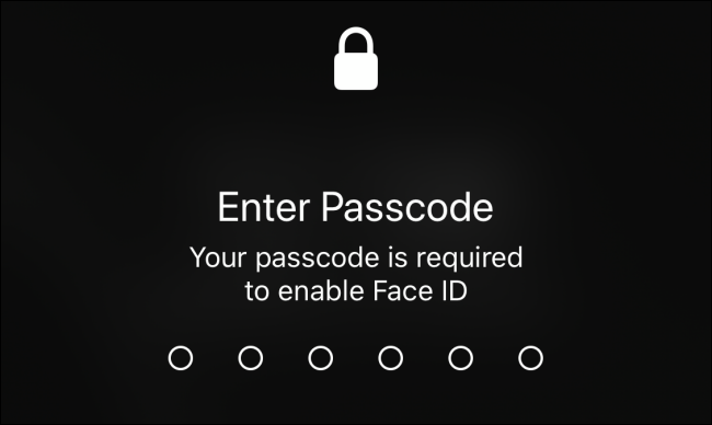 Enter Passcode screen on iPhone