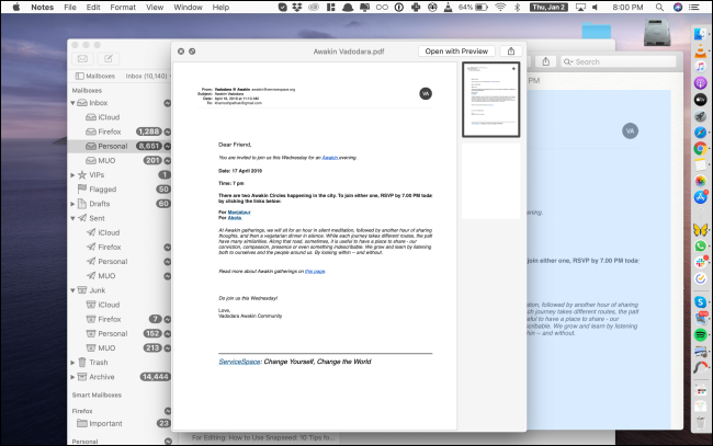 Quick Look preview of the PDF in Notes app