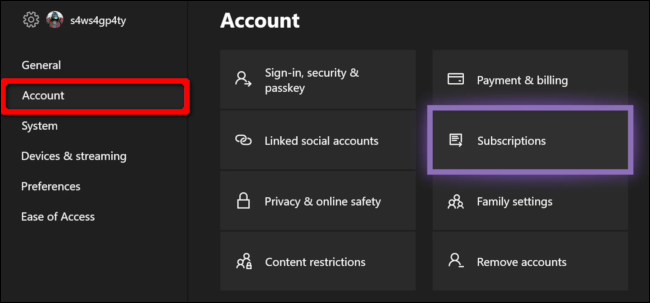 Xbox Account Access Subscriptions
