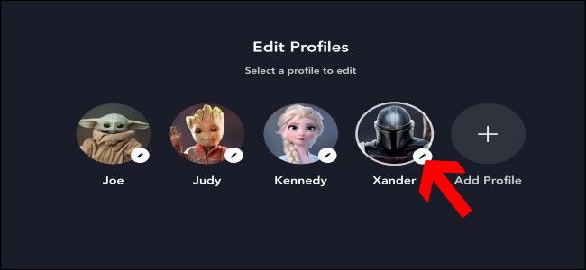 Disney+ Edit Profile
