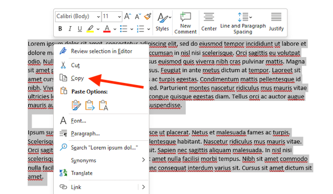 Highlight and copy text in Word