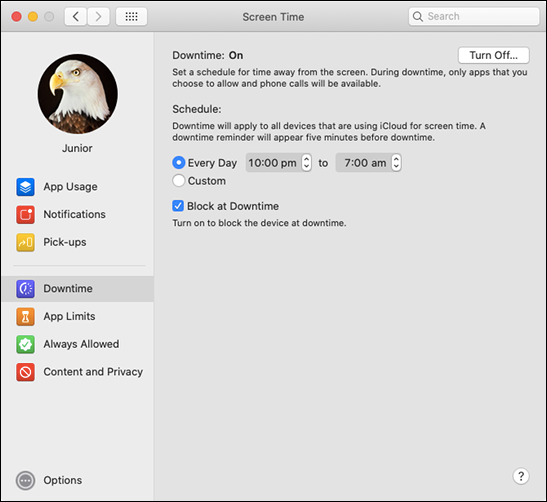 Click &quot;Turn On&quot; next to the &quot;Downtime&quot; option, and then click &quot;Every Day&quot; or &quot;Custom.&quot;