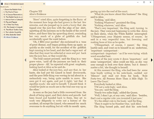 Reading an eBook in Sumatra PDF for Windows.