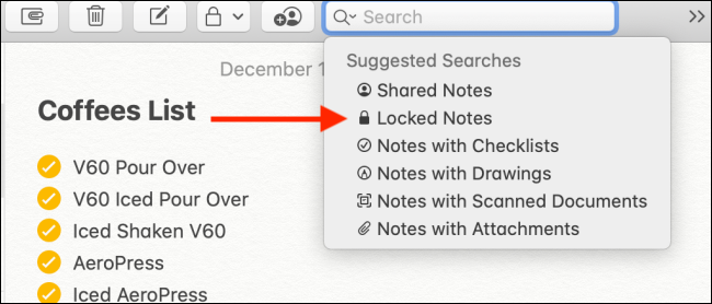 Choose the Locked Notes option from Search